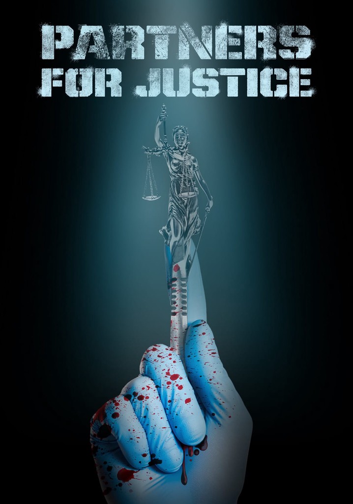 Partners for Justice Season 1 - watch episodes streaming online